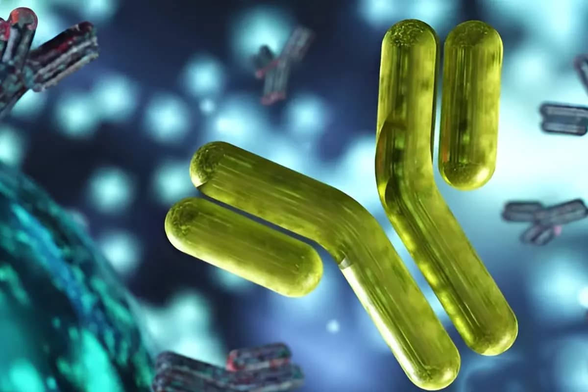 Antigenic Peptides research illustration