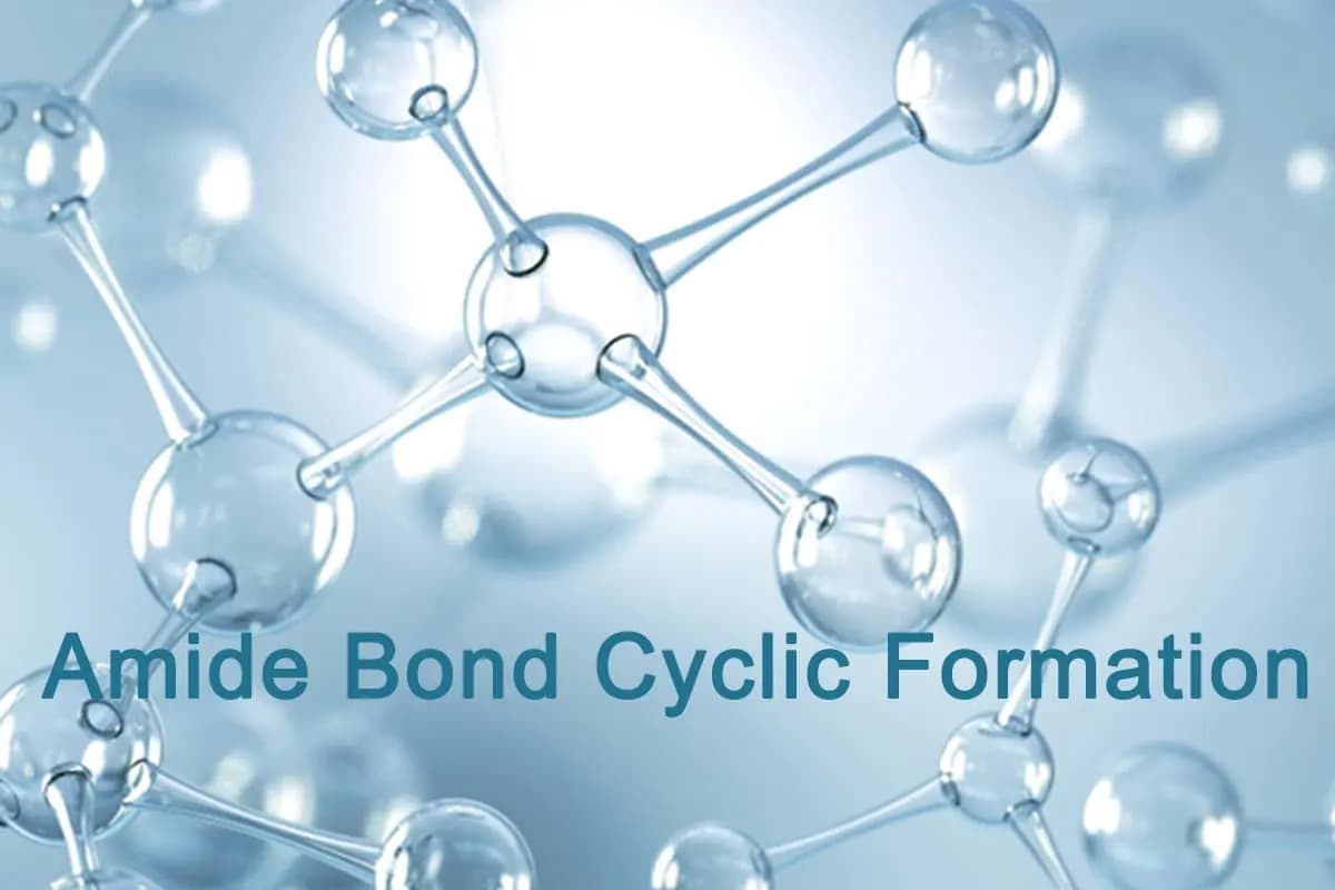 Amide Bond Formation in Cyclization — technical article