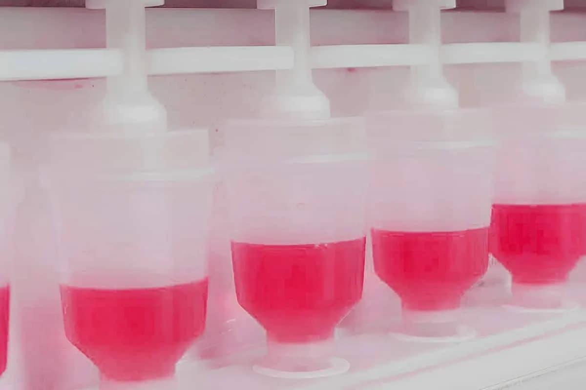 Peptide Modification