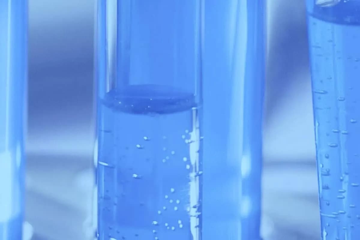 Fluorescent Peptides for Research
