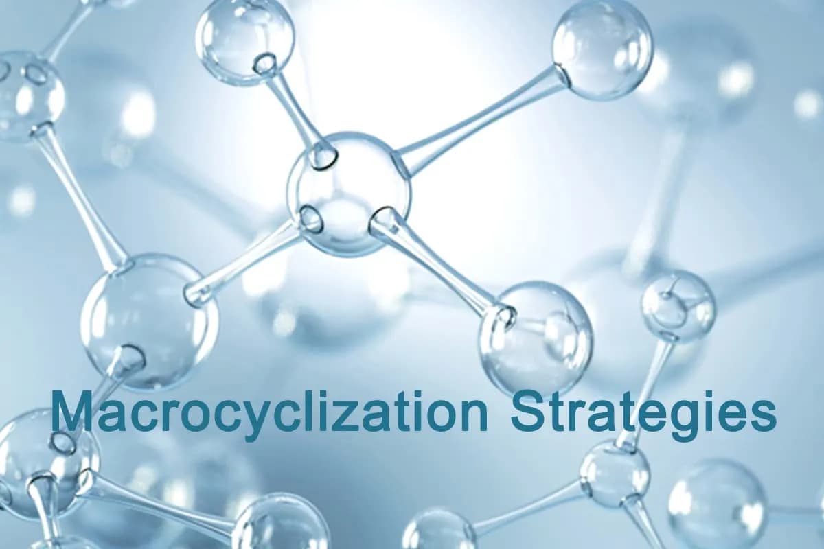 Peptide Macrocyclization Strategies hero illustration